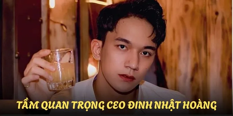 Tầm quan trọng của CEO Đinh Nhật hoàng với sự phát triển của thabet