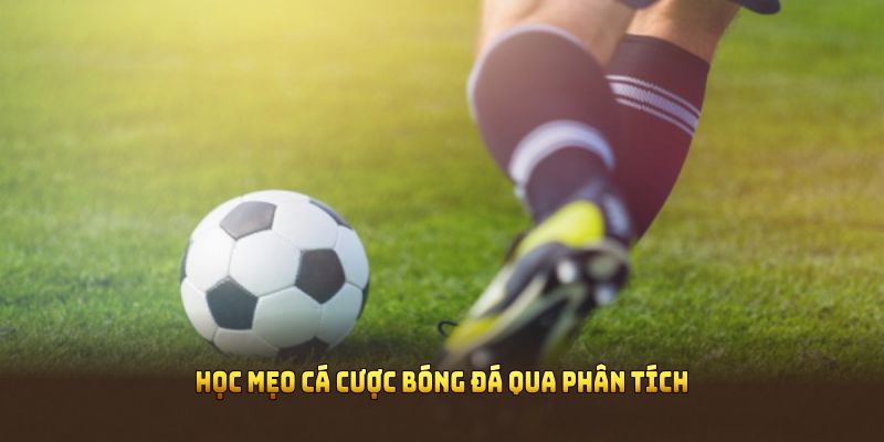 Học mẹo cá cược bóng đá qua phân tích thực chiến để bảo vệ túi tiền hiệu quả
