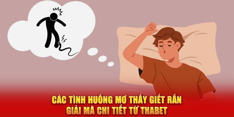 Các tình huống mơ thấy giết rắn – Giải mã chi tiết từ Thabet